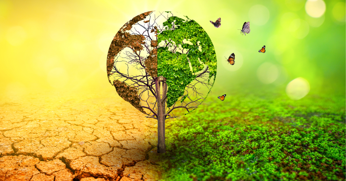 Sustainability